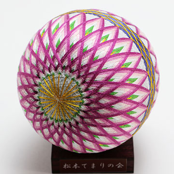 丸菊-若紫イメージ